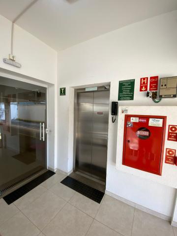 imagem 3 - Apartamento - Padrão imagem 3 - Apartamento - Padrão