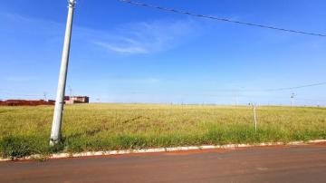 Alugar Terreno / Padrão em São Carlos. apenas R$ 131.000,00