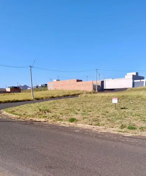 imagem 3 - Terreno - Padrão imagem 3 - Terreno - Padrão