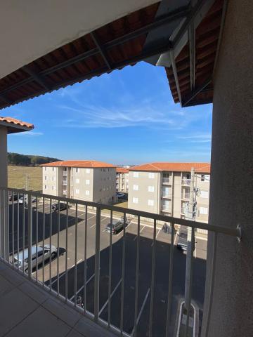 imagem 3 - Apartamento com 2 dormitórios na Vila Rancho Velho próximo ao Supermercado Dia em São Carlos imagem 3 - Apartamento com 2 dormitórios na Vila Rancho Velho próximo ao Supermercado Dia em São Carlos