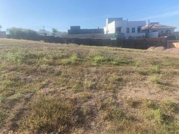 imagem 3 - Damha - PIRACICABA imagem 3 - Damha - PIRACICABA