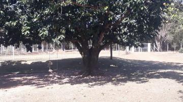 imagem 3 - Rural - Chácara imagem 3 - Rural - Chácara