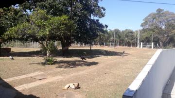 imagem 4 - Rural - Chácara imagem 4 - Rural - Chácara