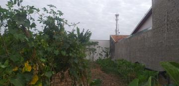 imagem 3 - Terreno - Padrão imagem 3 - Terreno - Padrão