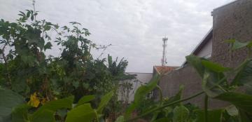 imagem 4 - Terreno - Padrão imagem 4 - Terreno - Padrão
