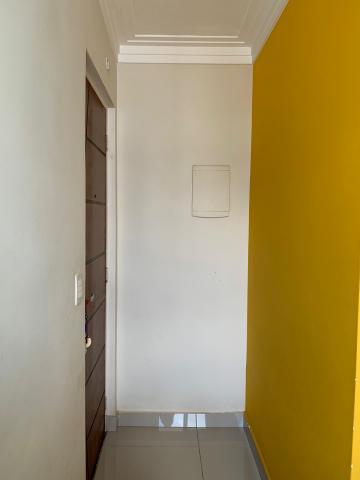 imagem 2 - Apartamento - Padrão imagem 2 - Apartamento - Padrão