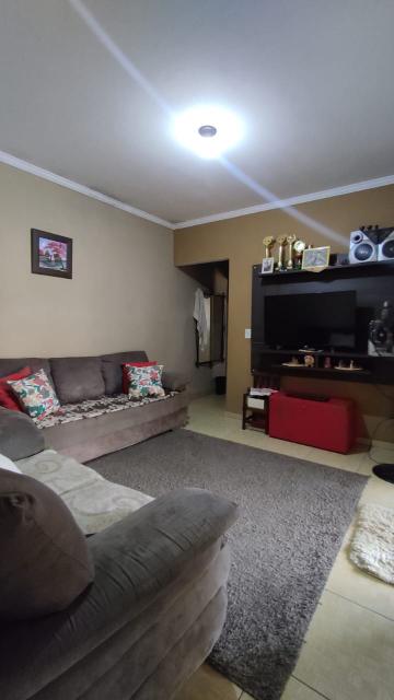 imagem 4 - Rural - Chácara imagem 4 - Rural - Chácara