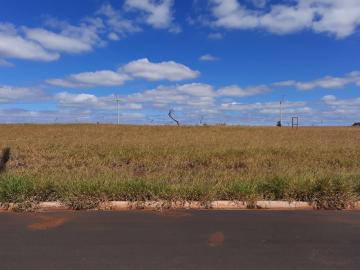 imagem 2 - Terreno - Padrão imagem 2 - Terreno - Padrão