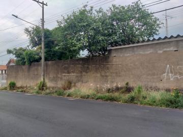 imagem 2 - Terreno - Padrão imagem 2 - Terreno - Padrão