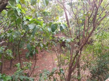 imagem 4 - Terreno - Padrão imagem 4 - Terreno - Padrão