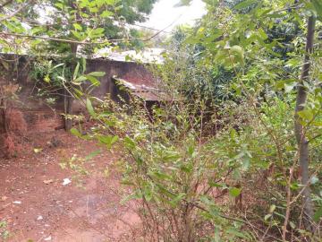 imagem 5 - Terreno - Padrão imagem 5 - Terreno - Padrão