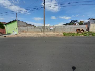 imagem 1 - Terreno - Padrão imagem 1 - Terreno - Padrão