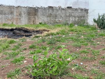 imagem 3 - Terreno - Padrão imagem 3 - Terreno - Padrão