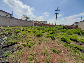 imagem 5 - Terreno - Padrão imagem 5 - Terreno - Padrão