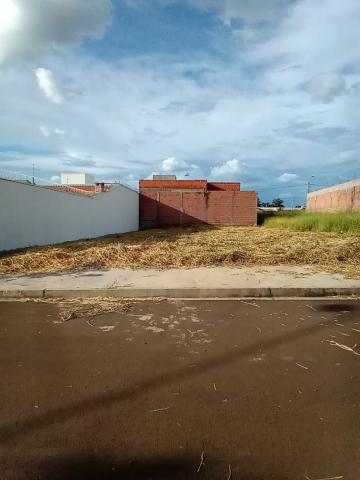 imagem 1 - Terreno - Padrão imagem 1 - Terreno - Padrão