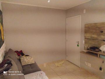 imagem 2 - Apartamento - Padrão imagem 2 - Apartamento - Padrão