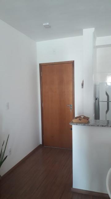 imagem 4 - Apartamento - Padrão imagem 4 - Apartamento - Padrão