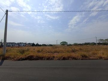 imagem 1 - Terreno - Padrão imagem 1 - Terreno - Padrão