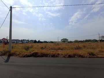 imagem 2 - Terreno - Padrão imagem 2 - Terreno - Padrão