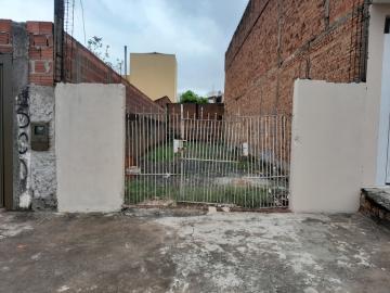 imagem 1 - Terreno - Padrão