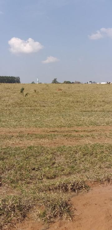 imagem 3 - Terreno - Padrão imagem 3 - Terreno - Padrão