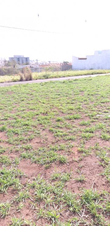imagem 5 - Terreno - Padrão imagem 5 - Terreno - Padrão