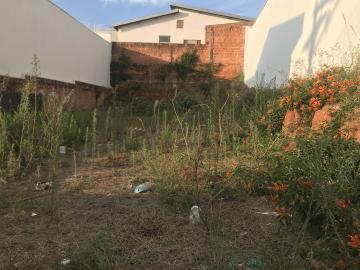 imagem 1 - Terreno - Padrão imagem 1 - Terreno - Padrão