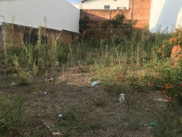 imagem 2 - Terreno - Padrão imagem 2 - Terreno - Padrão