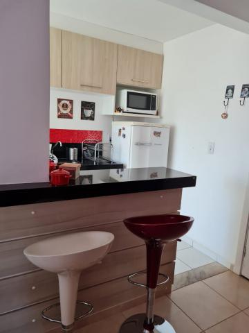 imagem 3 - Apartamento - Padrão imagem 3 - Apartamento - Padrão