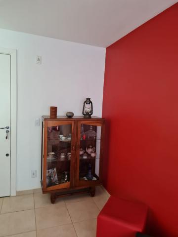 imagem 2 - Apartamento - Padrão imagem 2 - Apartamento - Padrão