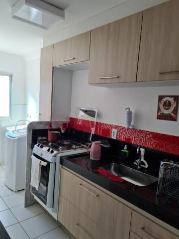 imagem 5 - Apartamento - Padrão imagem 5 - Apartamento - Padrão