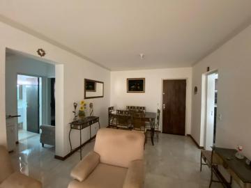 imagem 5 - Apartamento com 2 dormitórios no Jardim São Carlos próximo ao Mercado Municipal em São Carlos imagem 5 - Apartamento com 2 dormitórios no Jardim São Carlos próximo ao Mercado Municipal em São Carlos