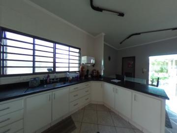 imagem 5 - Casa - Padrão imagem 5 - Casa - Padrão
