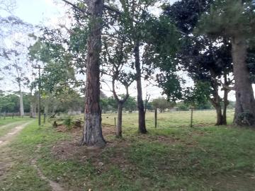 imagem 1 - Rural - Área imagem 1 - Rural - Área