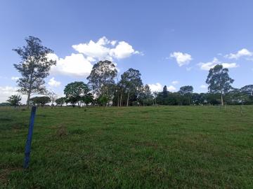 imagem 2 - Rural - Área imagem 2 - Rural - Área
