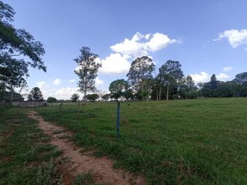 imagem 4 - Rural - Área imagem 4 - Rural - Área