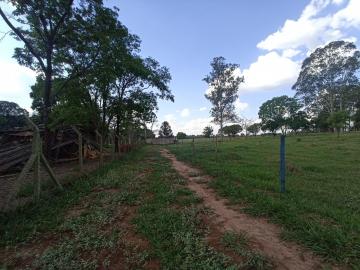 imagem 5 - Rural - Área imagem 5 - Rural - Área