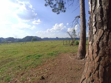 imagem 3 - Rural - Chácara imagem 3 - Rural - Chácara