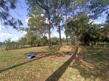 imagem 4 - Rural - Chácara imagem 4 - Rural - Chácara