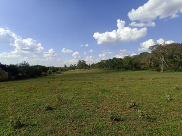 imagem 2 - Rural - Chácara imagem 2 - Rural - Chácara