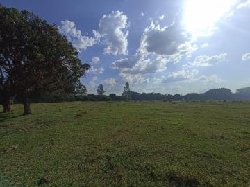 imagem 4 - Rural - Chácara imagem 4 - Rural - Chácara