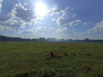 imagem 5 - Rural - Chácara imagem 5 - Rural - Chácara