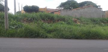 imagem 4 - Terreno - Padrão imagem 4 - Terreno - Padrão