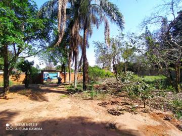 imagem 4 - Rural - Chácara imagem 4 - Rural - Chácara