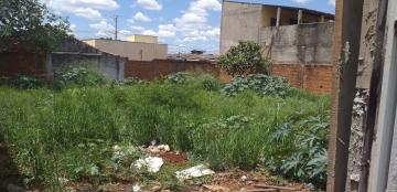 imagem 4 - Terreno - Padrão imagem 4 - Terreno - Padrão