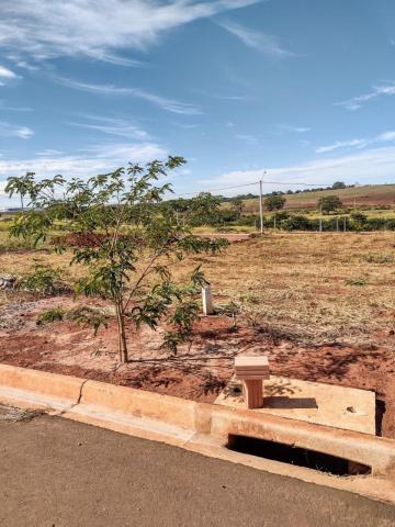 imagem 3 - Terreno - Padrão imagem 3 - Terreno - Padrão