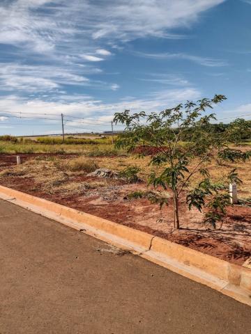 imagem 2 - Terreno - Padrão imagem 2 - Terreno - Padrão