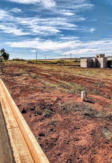 imagem 4 - Terreno - Padrão imagem 4 - Terreno - Padrão