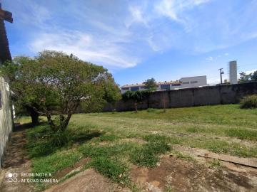 imagem 4 - Casa - Padrão imagem 4 - Casa - Padrão
