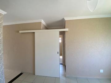 imagem 4 - Apartamento com 2 dormitórios no Romeu Santini próximo a UBS Botafogo em São Carlos imagem 4 - Apartamento com 2 dormitórios no Romeu Santini próximo a UBS Botafogo em São Carlos